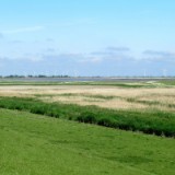 2505F 035 die breite Ems